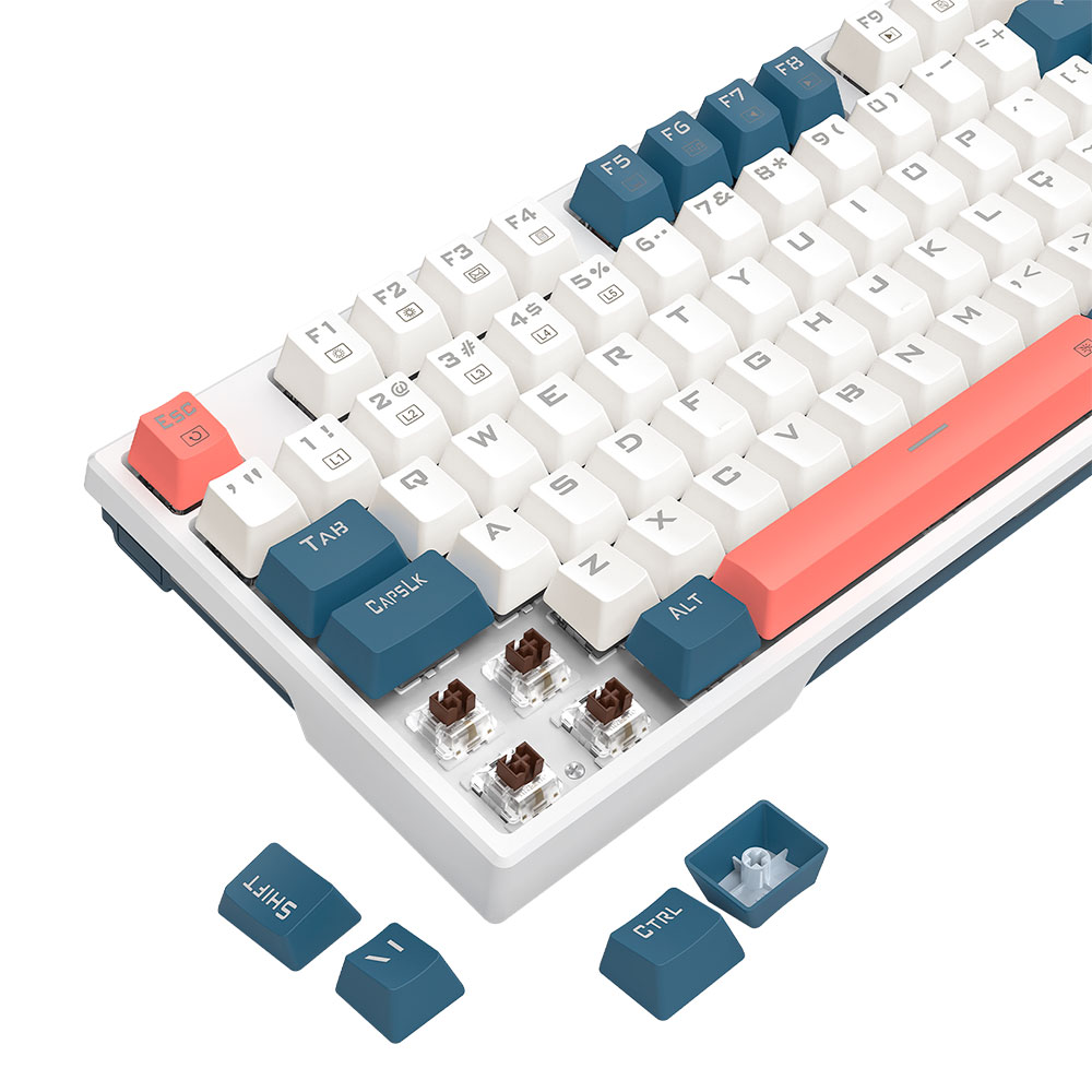 Imagem de TECLADO REDRAGON MECANICO GAMER TRUNDLE RGB BRANCO AZUL E ROSA SWITCH MARROM K668WBO-RGB (PT-BROWN)