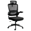 Imagem de CADEIRA OFFICE REDRAGON HELA PRETO C214-B