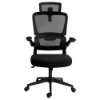 Imagem de CADEIRA OFFICE REDRAGON HELA PRETO C214-B